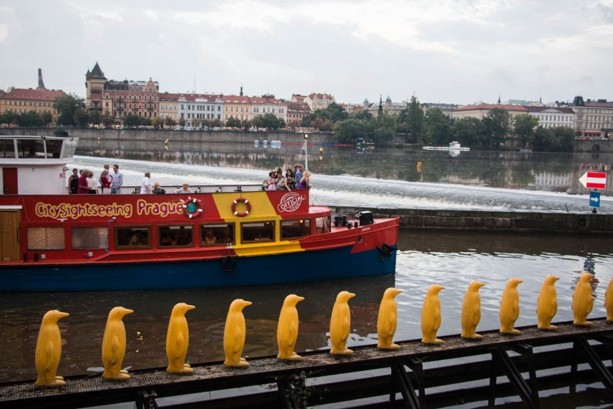 Марш пингвинов через реку Влтаву