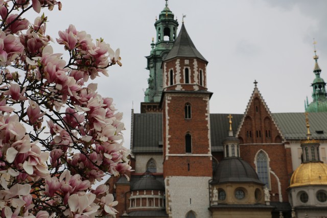 Спряжение глаголов в польском языке