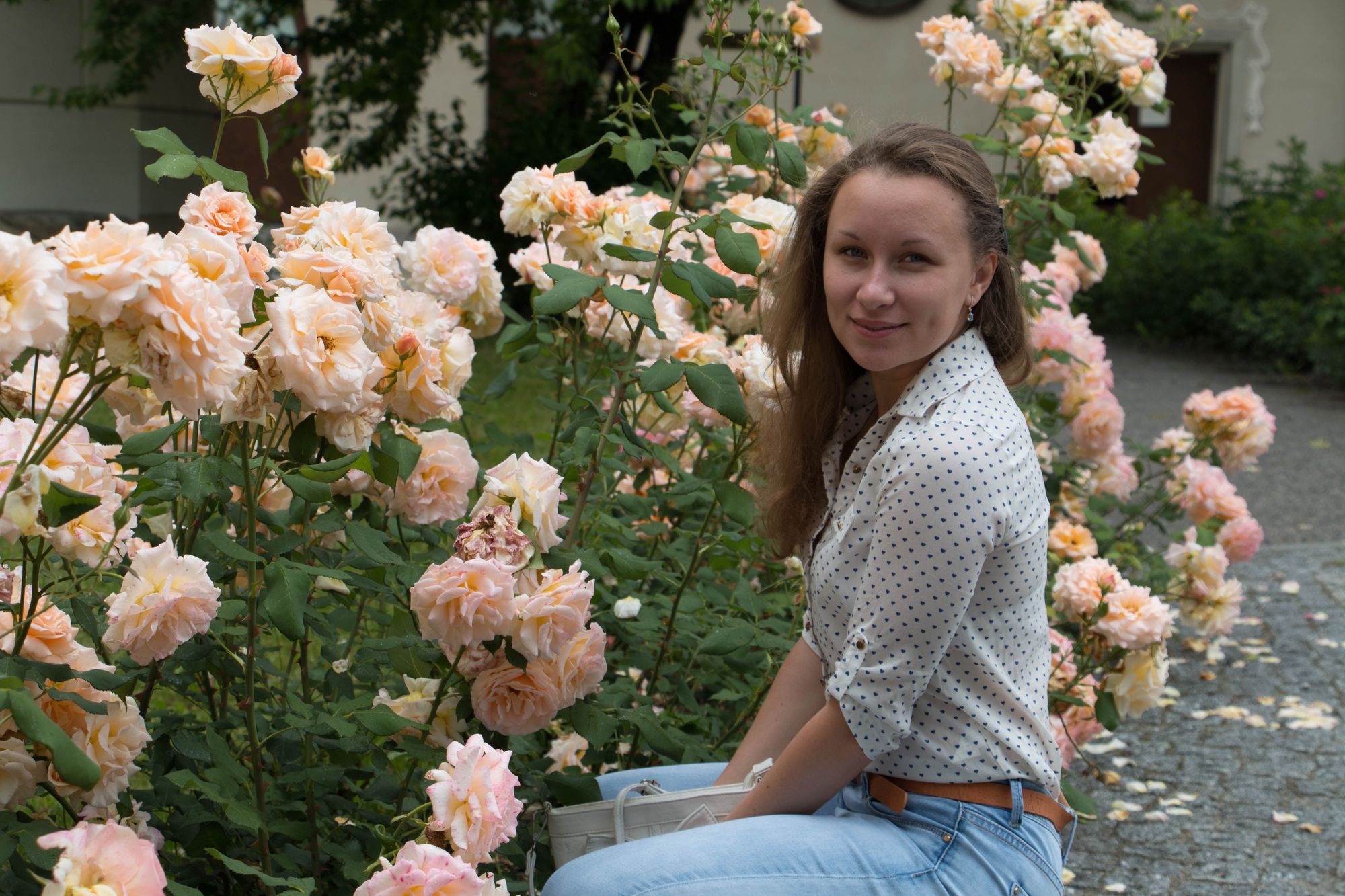 польский город Живец